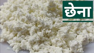 Quick and Easy Chena Recipe  घर पे फटे दूध का छेना बनाये [upl. by Enaitsirhc743]