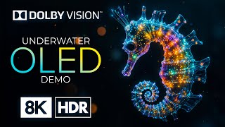 UNDERWATER WORLD with 8K HDR Dolby Vision 60FPS [upl. by Aitercal]