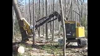 John Deere 753G feller buncher cutting big pine [upl. by Hanover465]