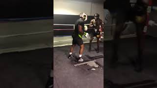 Emanthechamp Light Sparring With An OG Boxing [upl. by Grunenwald]