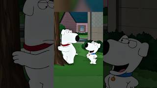 Brian Was Thrown Out Onto The Street familyguy funny shorts [upl. by Anisor]