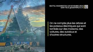 Côte ouest  les arbres tombent sur plusieurs maisons et voitures [upl. by Bright]