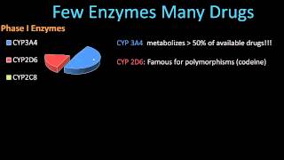 Phase II Metabolism  Pharmacology Lect 8 [upl. by Sheryle]