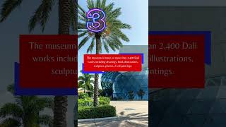 5 Facts About The Salvador Dali Museum [upl. by Aneleasor]