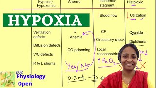 Types of Hypoxia physiology mbbs 1st year  Respiratory system physiology [upl. by Engedi]