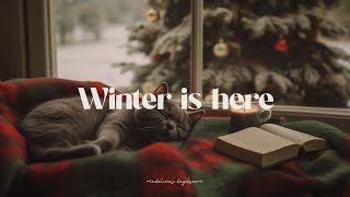 ❄️☃️ winter is here dreamy november morning playlist 🤍 romanticize your life with guitar music [upl. by Ipoillak36]