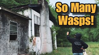 Exterminating Wasps in Abandoned Trap House  with Nate Petroski [upl. by Neik802]