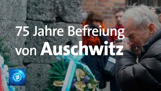 Gedenkfeier in AuschwitzBirkenau  zum 75 Jahrestag der Befreiung [upl. by Euqinitram]