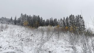 Novemberschnee im HochSauerland • Ende November 2024 [upl. by Olracnaig]