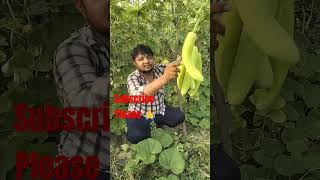 Machan per Loki ki khati loki like subscribe video [upl. by Jak]