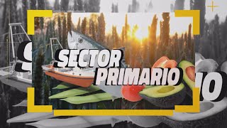 Sector Primario 13 de noviembre de 2024 13 11 24 [upl. by Annil]