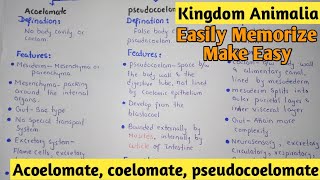 Acoelomate  Coelomate  Pdeudocoelomate  Kingdom Animalia  Class 11 [upl. by Erodisi109]