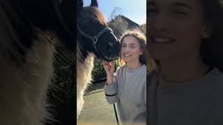 Vaker vlogs maken😱 vlog paard omg relatable funny [upl. by Buehrer]