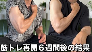 自宅筋トレ再開して６週間後の変化【ホームジム筋トレ】器具紹介も行います [upl. by Htezil832]