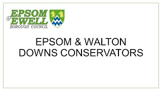 Epsom and Walton Downs Conservators  4 November 2024 [upl. by Iliak140]