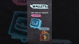 What Are Crypto Wallets crypto cryptocurrency cryptowallet [upl. by Samled]