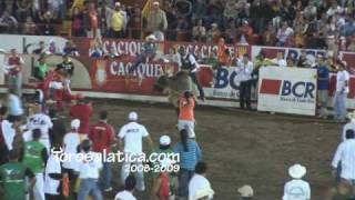 wwwtorosalaticacom  El Malacrianza  Zapote 20082009 [upl. by Neiluj]