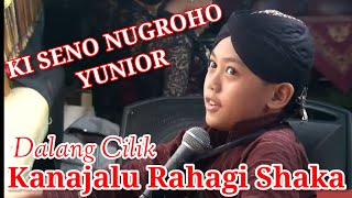 🔴Ki Seno Nugroho Yunior‼️Dalang Cilik Bermental Baja‼️Kanajalu Rahagi Shaka [upl. by Repip]