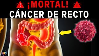 Cosas que NECESITAS Saber Sobre el Cáncer De Recto  Saludable y Feliz [upl. by Leasa677]