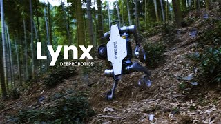 Extreme OffRoad  DEEPRobotics Lynx AllTerrian Robot [upl. by Dinin795]