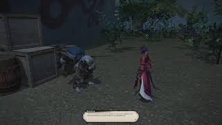 FFXIV leveling and Dawntrail side quests I play every side quest so you d… [upl. by Nanine284]