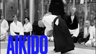 AIKIDO CLASS  DAA DUBLIN IRELAND [upl. by Suedama]