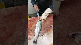 Training on cleaning and filleting and deboning trout fish [upl. by Aicinet578]