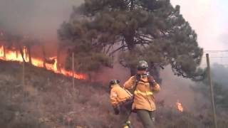 Bomberos Forestales se ven rodeados por el fuego [upl. by Audwen]