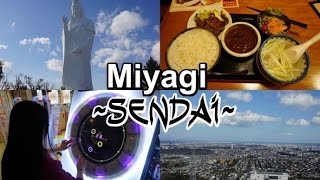 MIYAGI  Sendai・仙台｜Daikannon Eating Gyutan and Arcades Japan Travel Vlog 5 [upl. by Ahcsap]