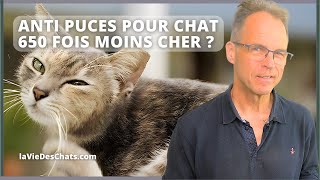 ANTI PUCES POUR CHAT 650 FOIS MOINS CHER [upl. by Drue253]