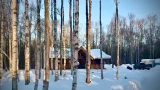 Elvie Travels To Alaska And Arrives at Miller Family’s Montana Haven Log Cabin [upl. by Jari]