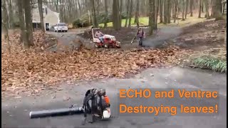 Massive Leaf Cleanup ECHO PB 8010 and Ventrac [upl. by Stewardson]