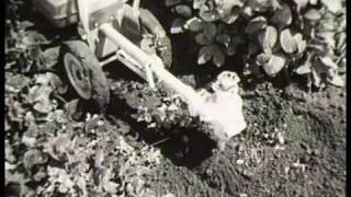 Masport quotTerrierquot Home Gardener TV Commerical [upl. by Neneek273]