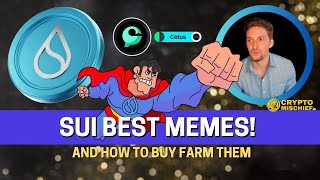 How to buy and Yield Farm 1000 APR SUI MEMECOINS [upl. by Ozen]