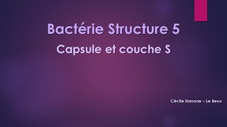 Bactérie Structure 5 CAPSULE et COUCHE S bactériennes sans musique de fond [upl. by Akenal]