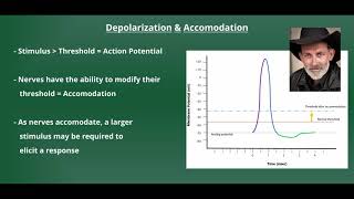 Introduction to Electrical Stimulation [upl. by Rellia]