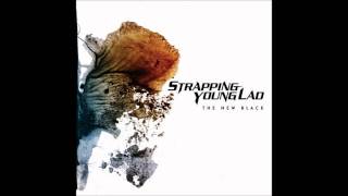 Strapping Young Lad  Almost Again [upl. by Antoni]