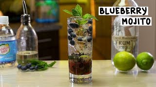 Blueberry Mojito  Tipsy Bartender [upl. by Cchaddie]