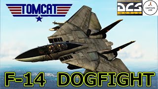 【DCS world】Dogfight F 14 VS Su 27 観ればわかる！！ [upl. by Ced]