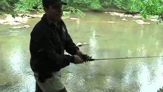 Catawba River SC Lansdford Canal State Park Fishing [upl. by Berneta]