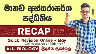 අන්තරාසර්ග පද්ධතිය  Endocrine system  Hormones  හෝමෝන RECAP advancedlevel biology paperclass [upl. by Eimam]