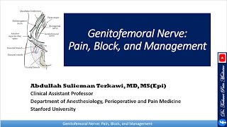 Genitofemoral Nerve Pain Block and Management [upl. by Lerrej]