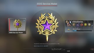 Purple Tier 4 2020 Service Medal  CSGO [upl. by Hermie489]