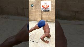 Pushups Chest Workout at home chestworkout pushup pushup homeworkout calisthenics [upl. by Kindig]