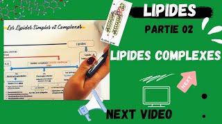 📣4 Les Lipides Partie 02  Les Lipides COMPLEXES اقوى شرح لللبيدات😍 LIPIDSMEDECINE BIOLOGY [upl. by Brandais512]