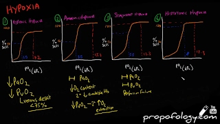 Hypoxia amp Blood Oxygen Content in 7 Minutes Physiology [upl. by Eiral]