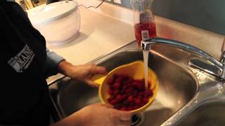 Preserving Raspberries Freezing Jams amp More [upl. by Calandra]