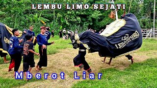 Full Berotan Liar  Banteng LEMBU LIMO SEJATI Live Gribig Gang Sate Madyopuro Kedungkandang [upl. by Neffets978]