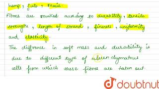Name five economically important plant fibres derived from sclerenchyma  Why they [upl. by Aneehsar]