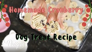 Homemade Cranberry Cookie Thanksgiving Dog Treat Recipe by Petiques Kitchen of Drool [upl. by Arramas]